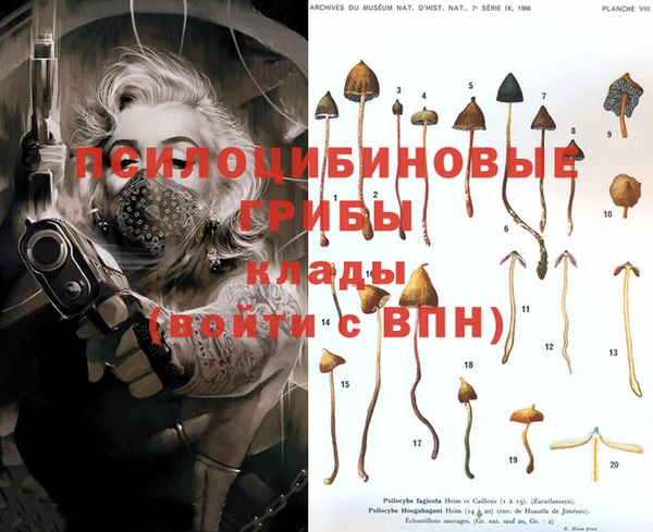 mdma Вяземский